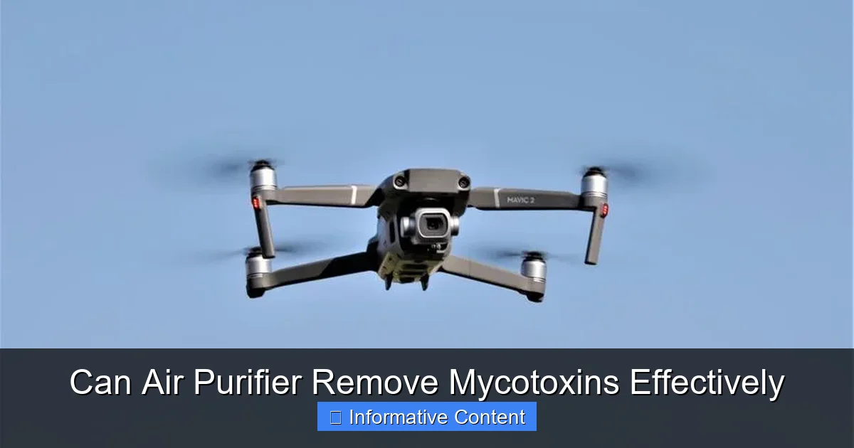 Can Air Purifier Remove Mycotoxins Effectively