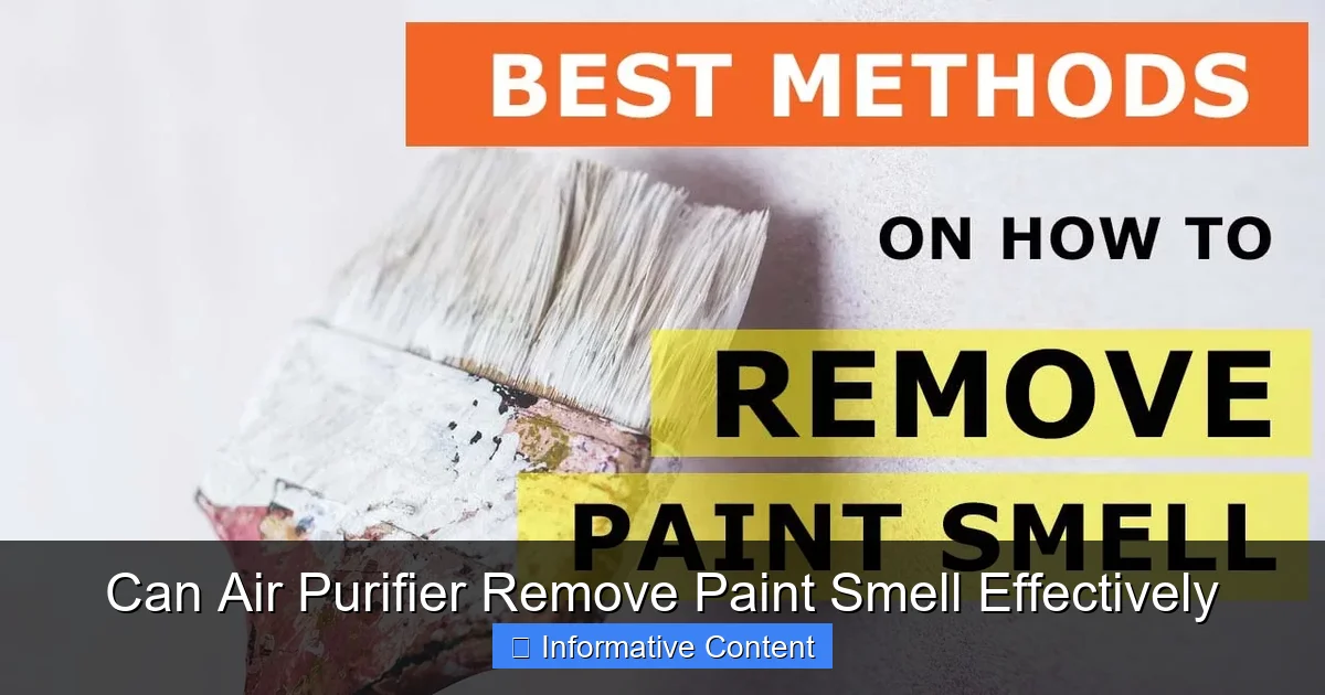Can Air Purifier Remove Paint Smell Effectively