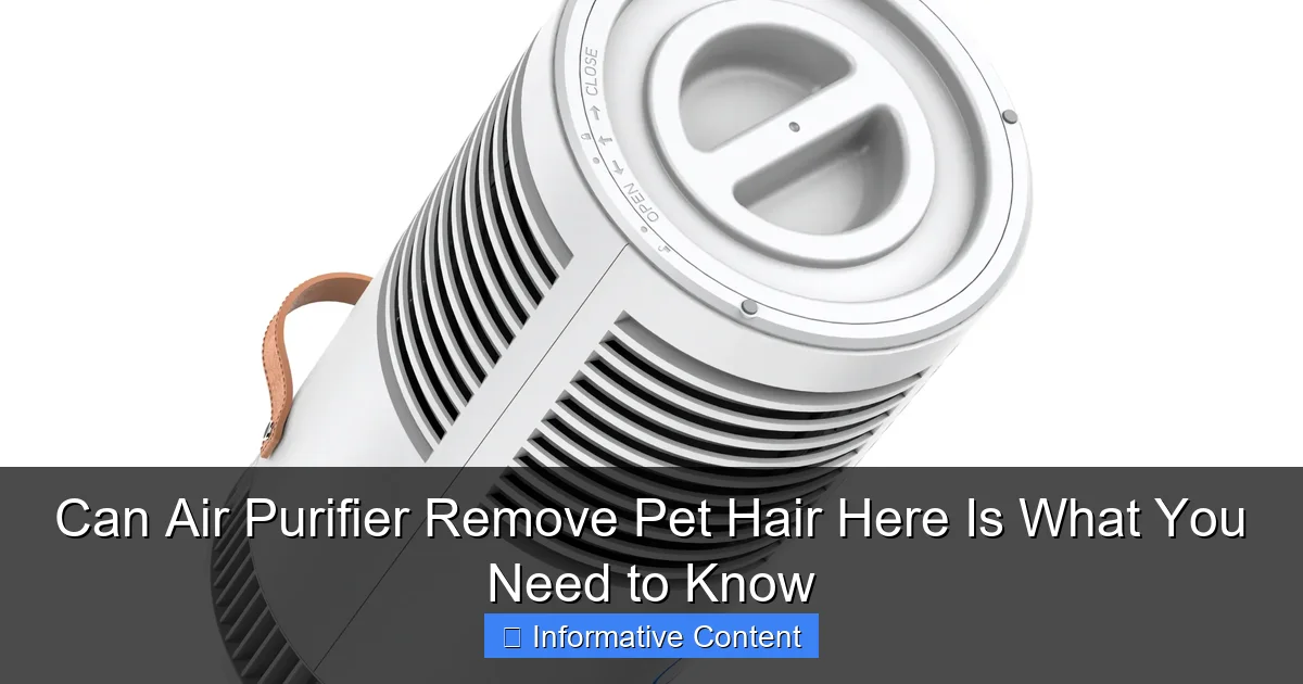Can Air Purifier Remove Pet Hair Here Is What You Need to Know