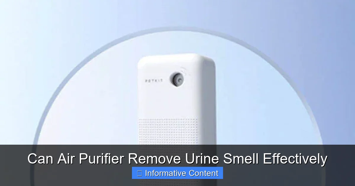 Can Air Purifier Remove Urine Smell Effectively