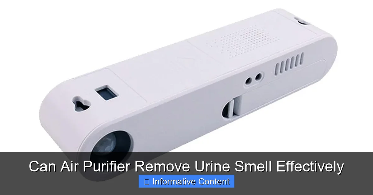 Can Air Purifier Remove Urine Smell Effectively