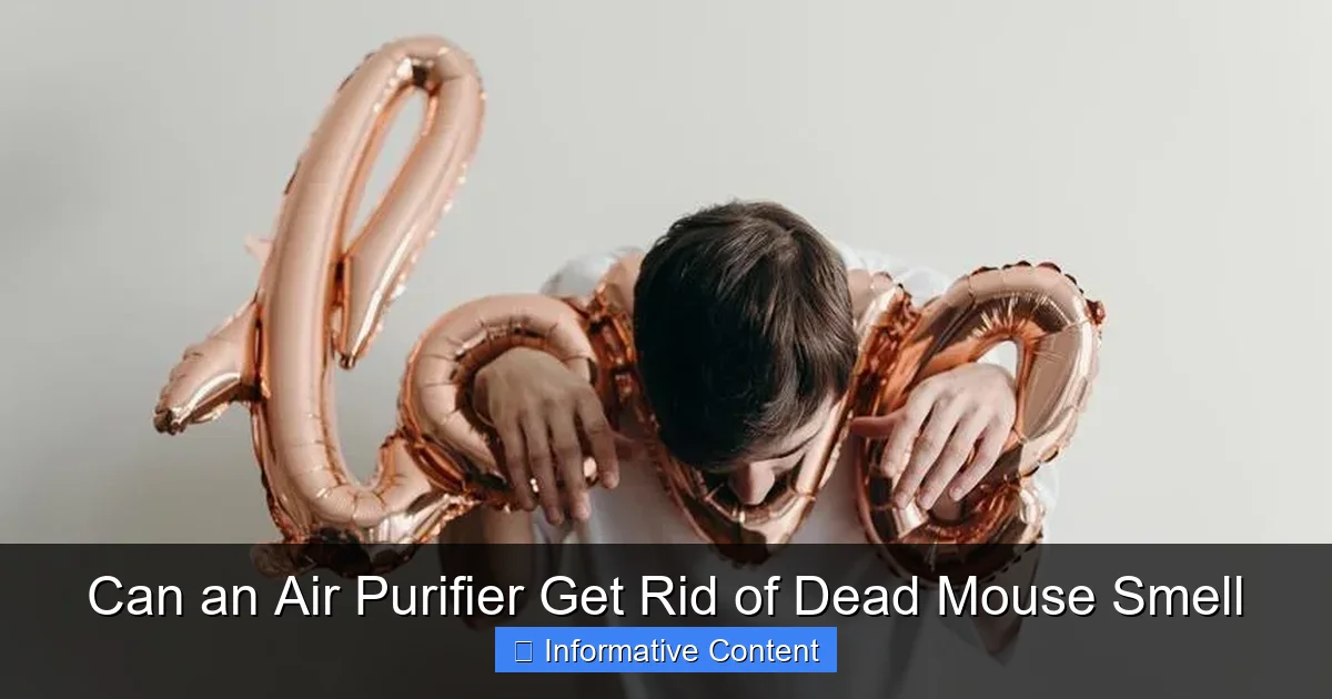 Can an Air Purifier Get Rid of Dead Mouse Smell