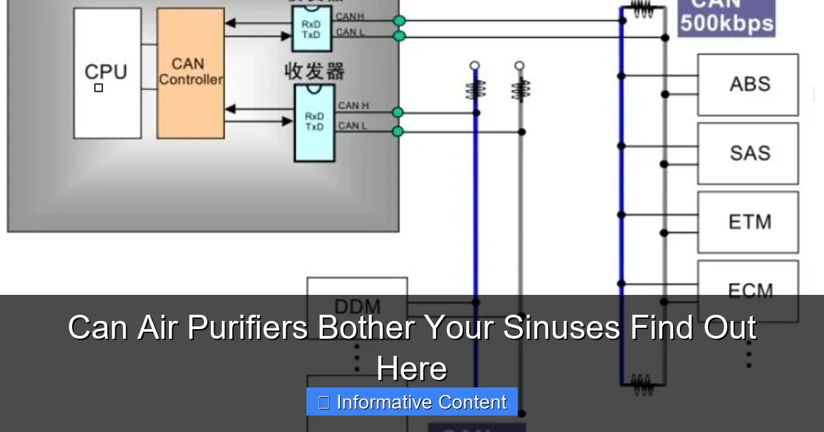Can Air Purifiers Bother Your Sinuses Find Out Here