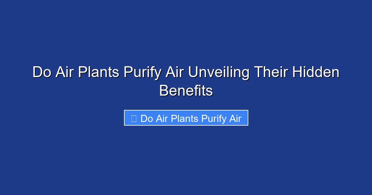 Do Air Plants Purify Air Unveiling Their Hidden Benefits