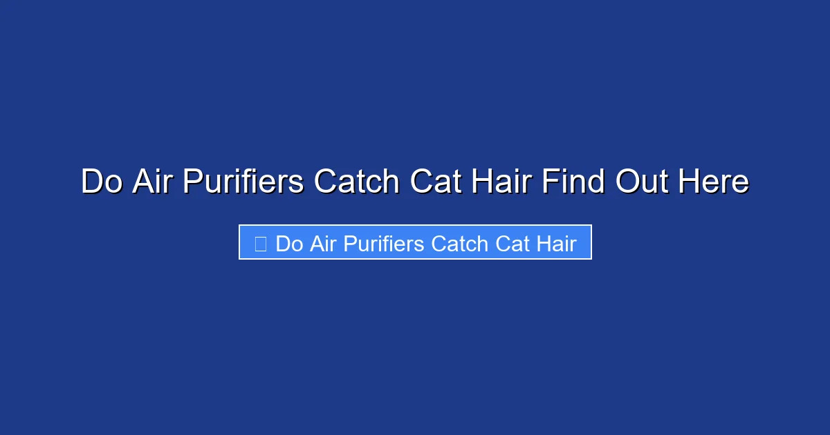 Do Air Purifiers Catch Cat Hair Find Out Here