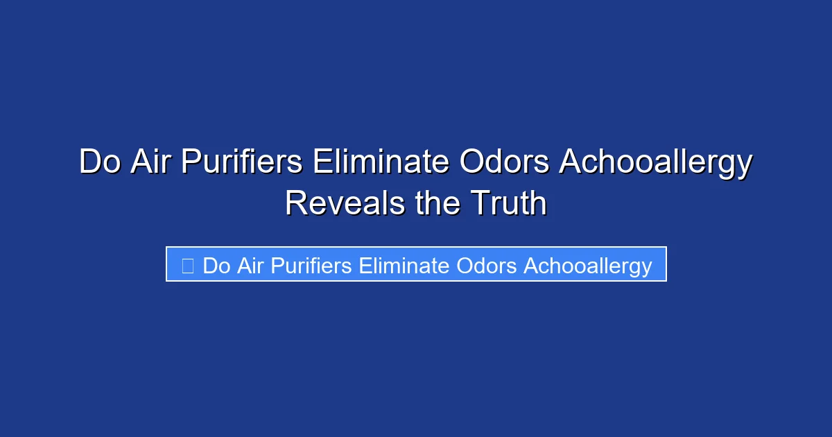 Do Air Purifiers Eliminate Odors Achooallergy Reveals the Truth