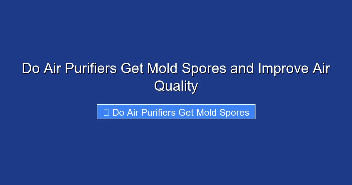 Do Air Purifiers Get Mold Spores and Improve Air Quality