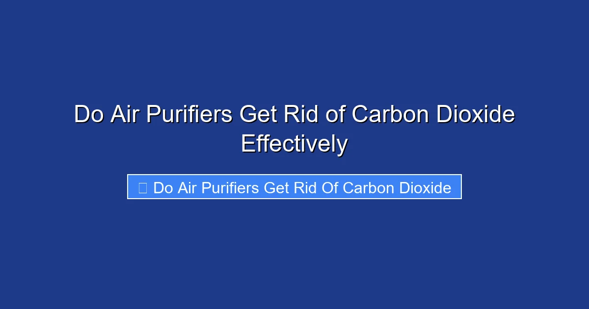 Do Air Purifiers Get Rid of Carbon Dioxide Effectively