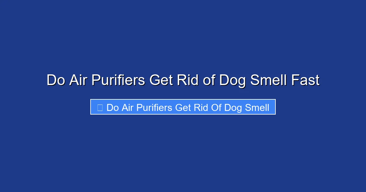 Do Air Purifiers Get Rid of Dog Smell Fast