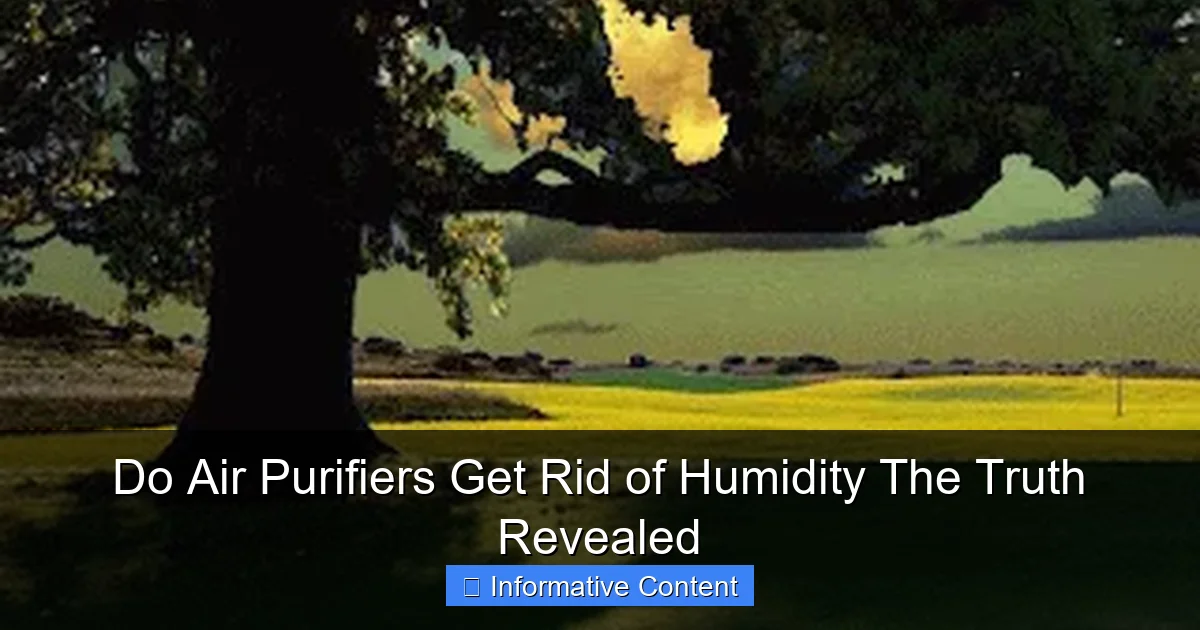 Do Air Purifiers Get Rid of Humidity The Truth Revealed