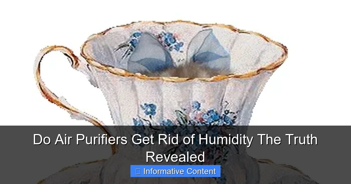 Do Air Purifiers Get Rid of Humidity The Truth Revealed