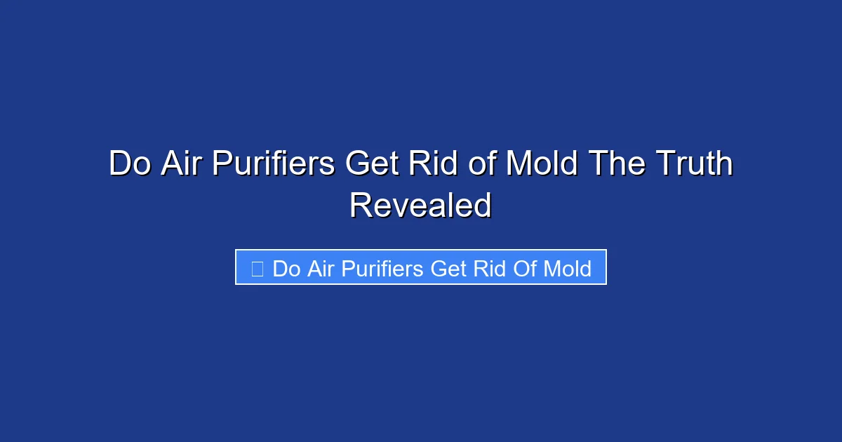 Do Air Purifiers Get Rid of Mold The Truth Revealed
