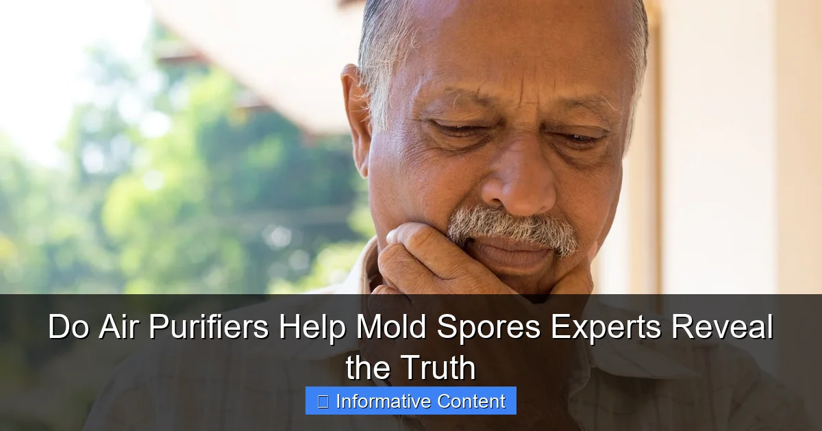 Do Air Purifiers Help Mold Spores Experts Reveal the Truth
