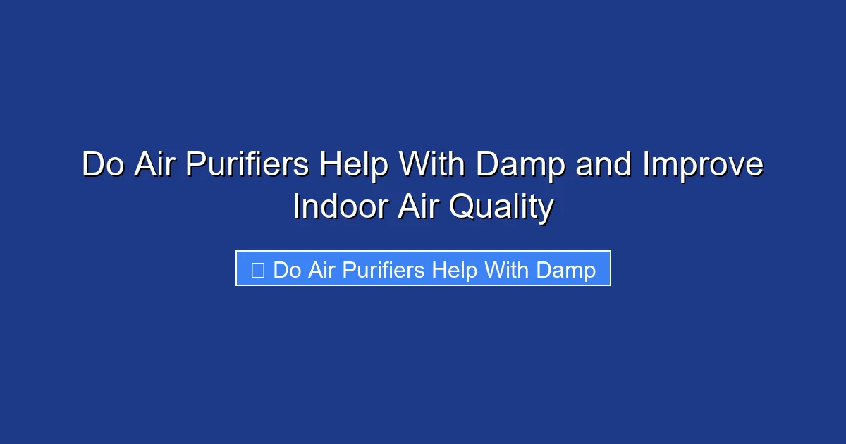 Do Air Purifiers Help With Damp and Improve Indoor Air Quality