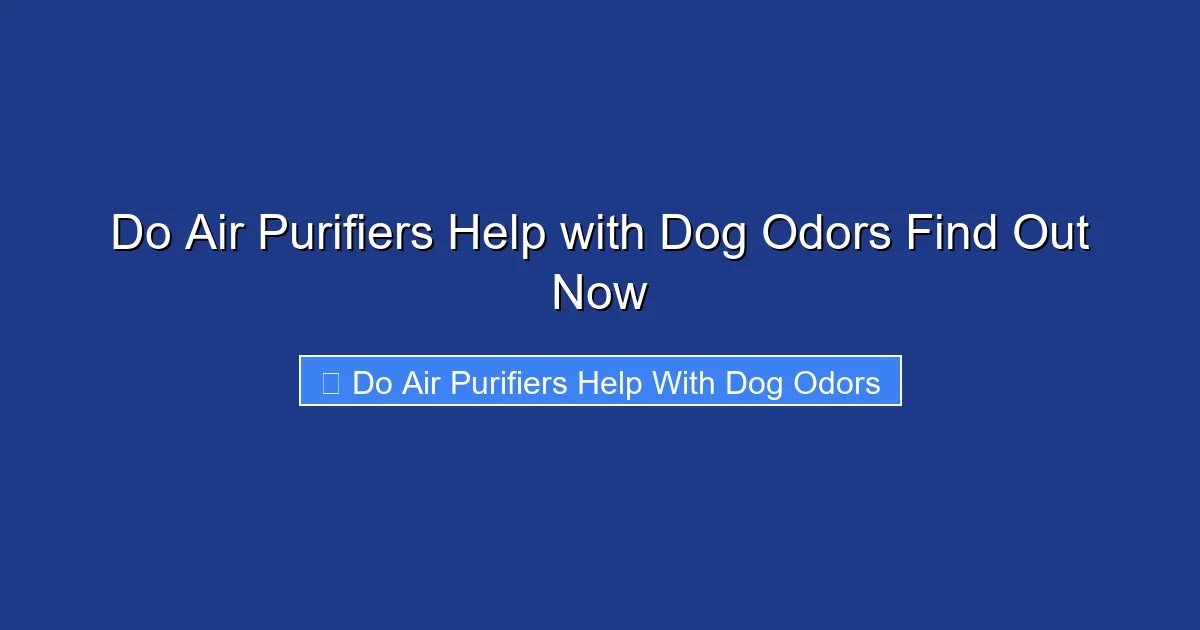 Do Air Purifiers Help with Dog Odors Find Out Now