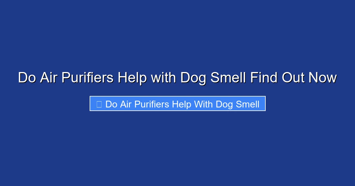 Do Air Purifiers Help with Dog Smell Find Out Now