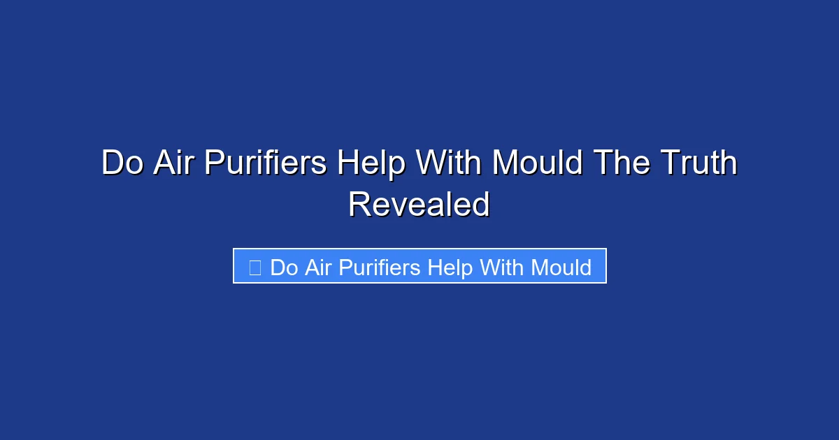 Do Air Purifiers Help With Mould The Truth Revealed