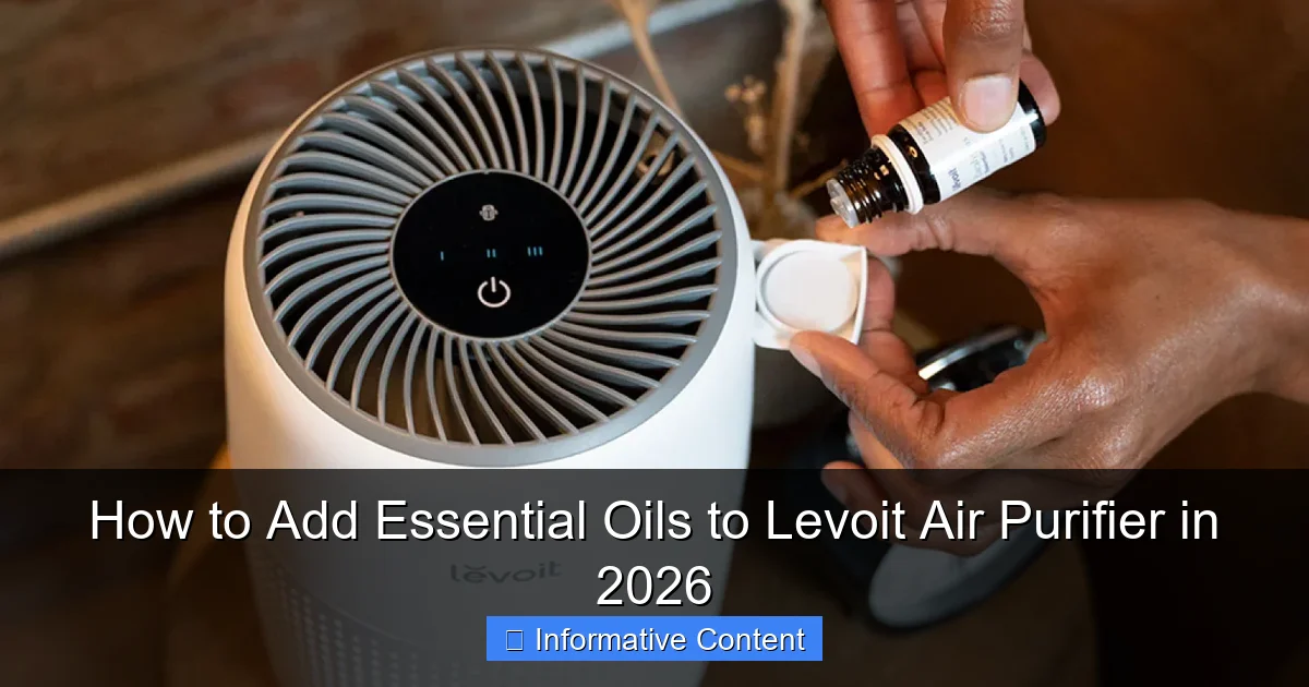 How to Add Essential Oils to Levoit Air Purifier in 2026