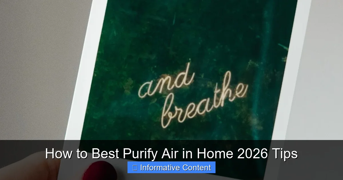How to Best Purify Air in Home 2026 Tips