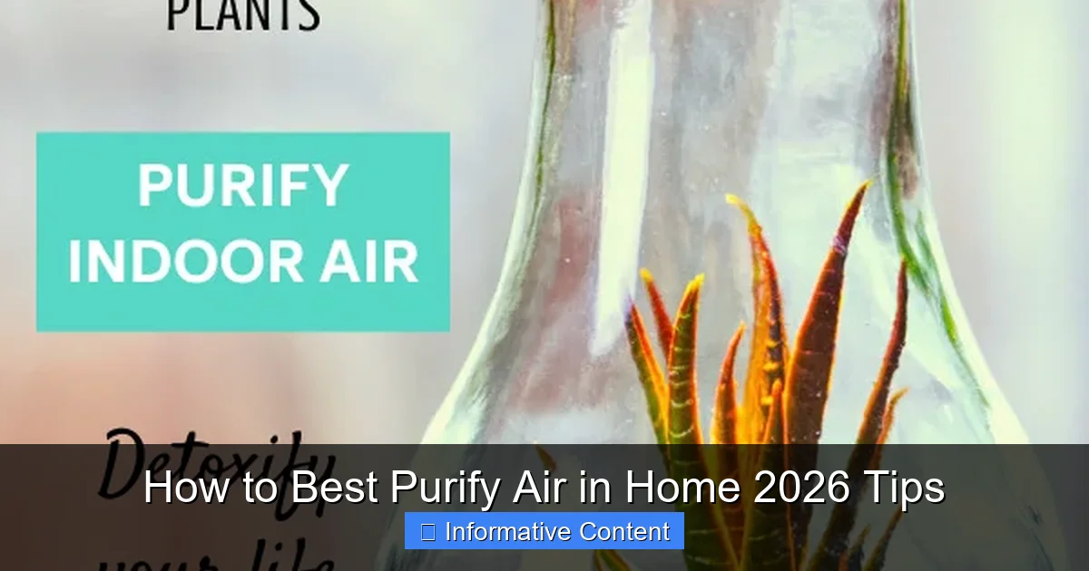 How to Best Purify Air in Home 2026 Tips