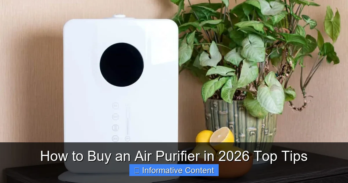 How to Buy an Air Purifier in 2026 Top Tips