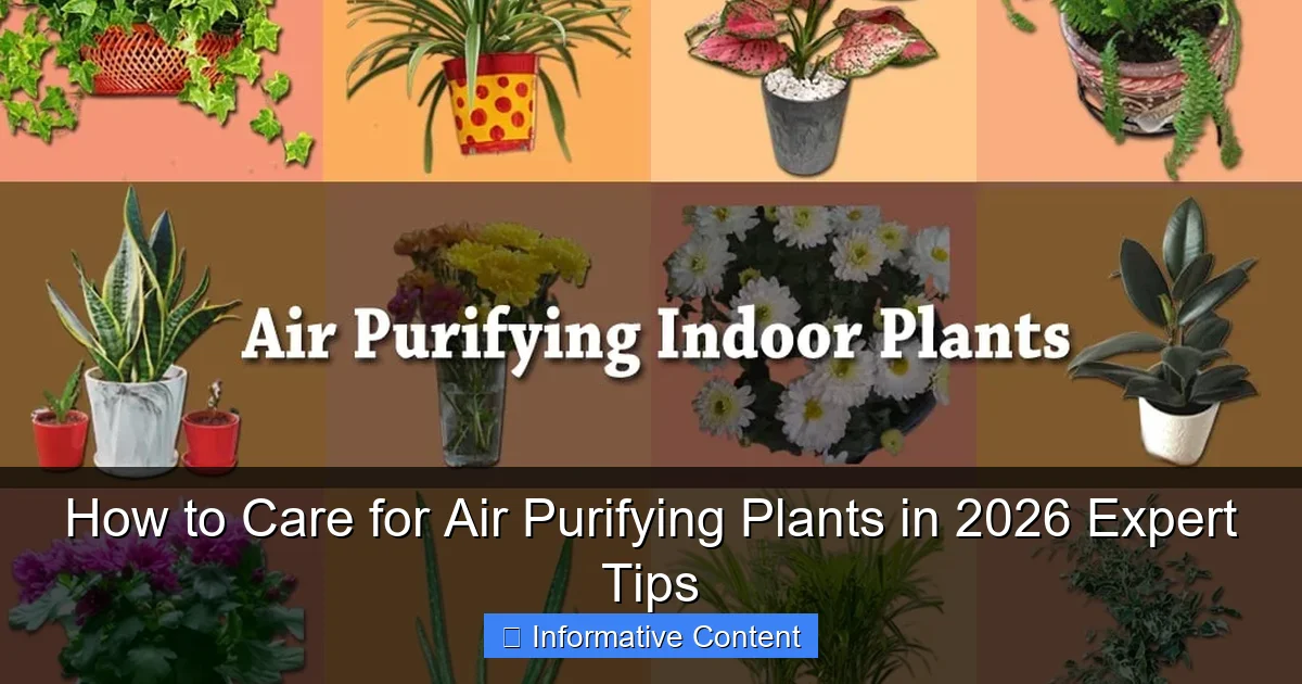 How to Care for Air Purifying Plants in 2026 Expert Tips