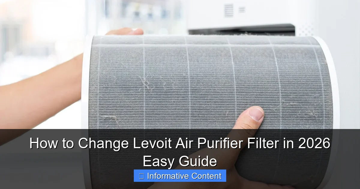 How to Change Levoit Air Purifier Filter in 2026 Easy Guide