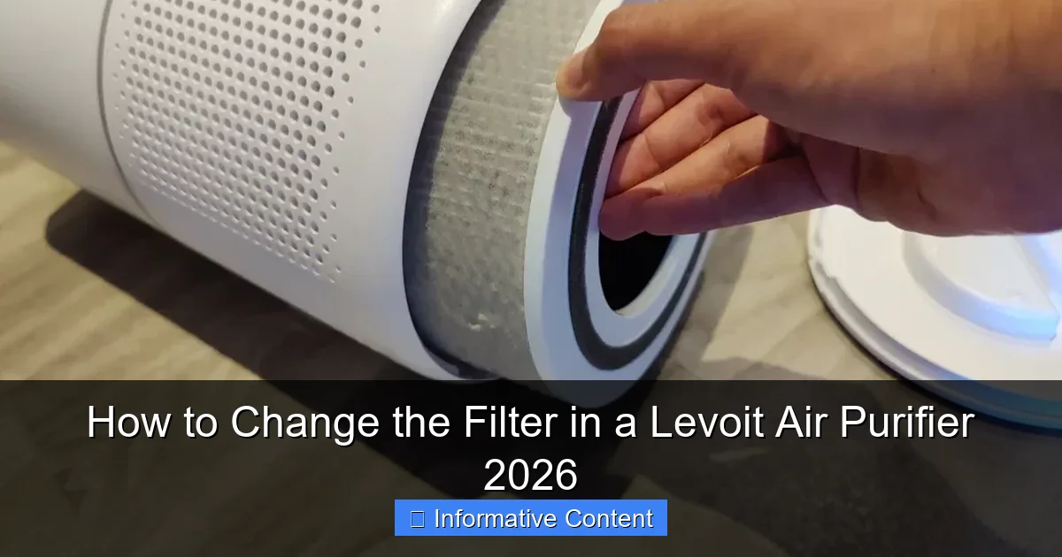 How to Change the Filter in a Levoit Air Purifier 2026