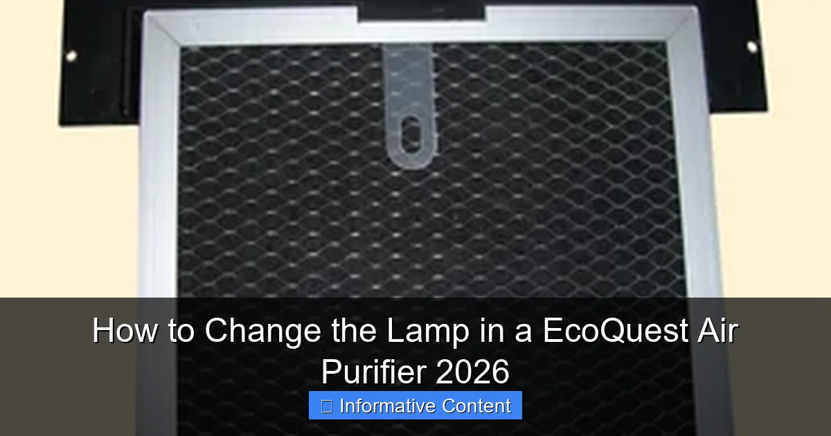 How to Change the Lamp in a EcoQuest Air Purifier 2026