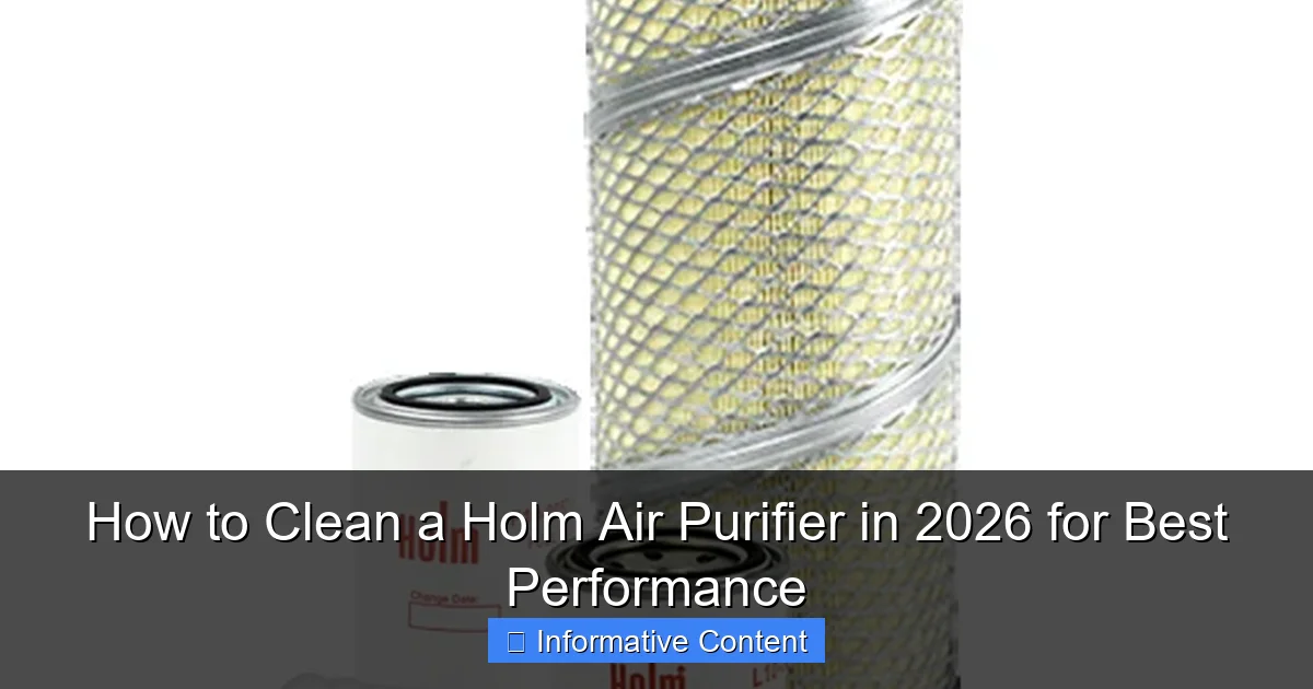 How to Clean a Holm Air Purifier in 2026 for Best Performance