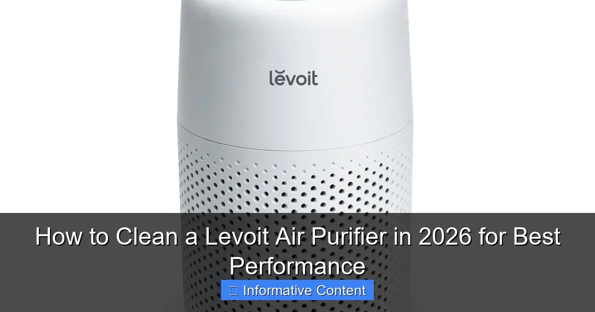 How to Clean a Levoit Air Purifier in 2026 for Best Performance