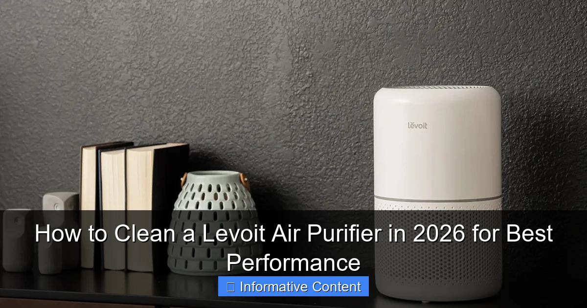 How to Clean a Levoit Air Purifier in 2026 for Best Performance