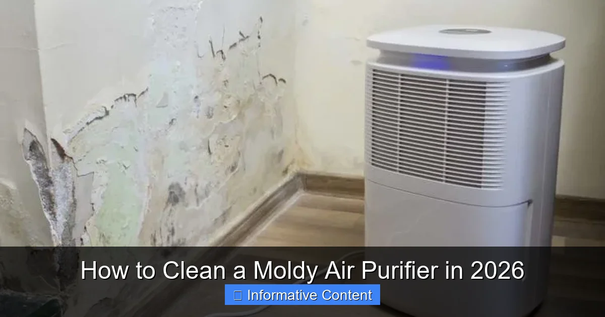 How to Clean a Moldy Air Purifier in 2026
