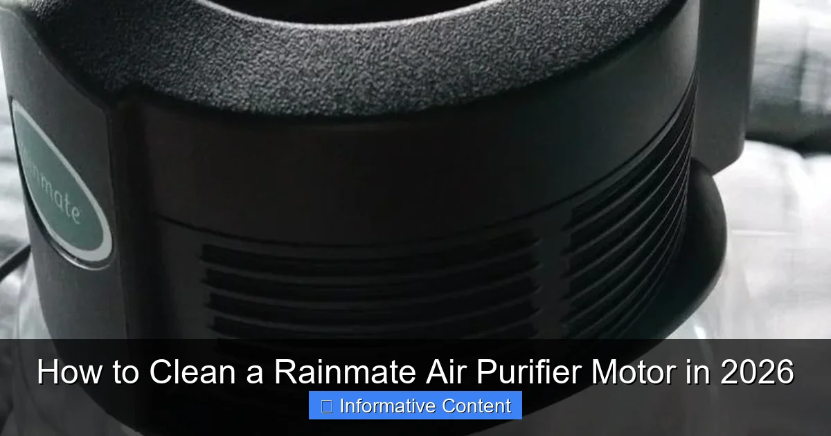 How to Clean a Rainmate Air Purifier Motor in 2026