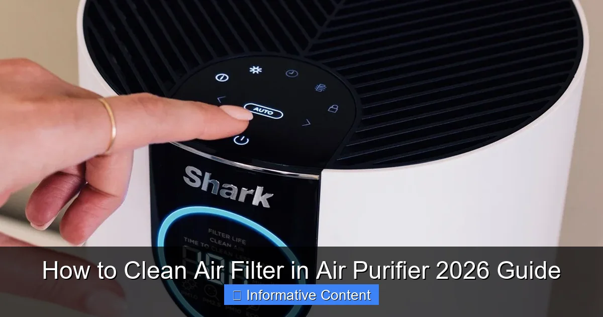 How to Clean Air Filter in Air Purifier 2026 Guide