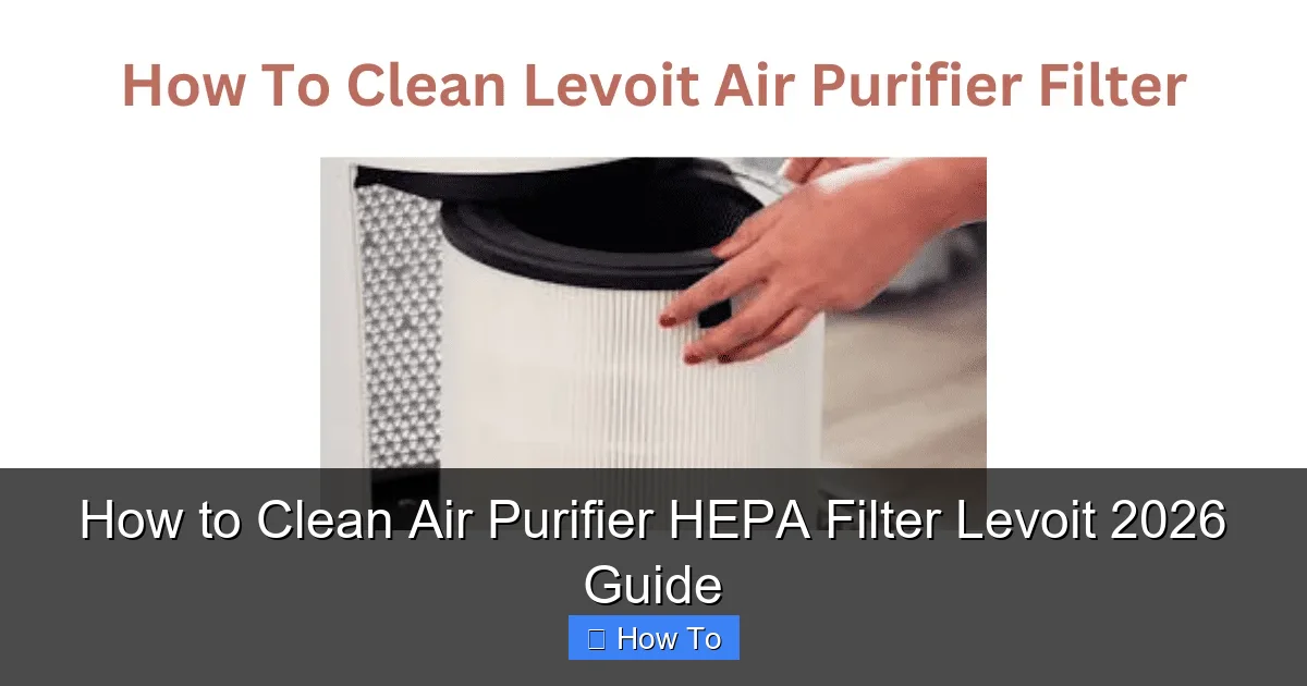 How to Clean Air Purifier HEPA Filter Levoit 2026 Guide