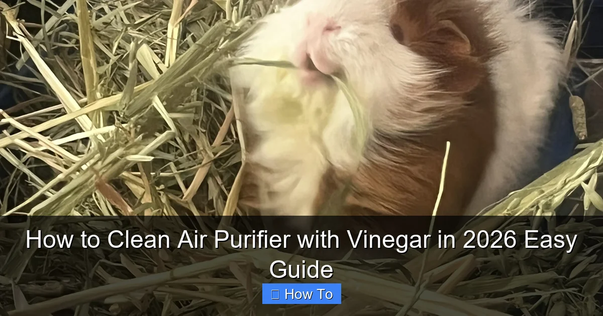 How to Clean Air Purifier with Vinegar in 2026 Easy Guide