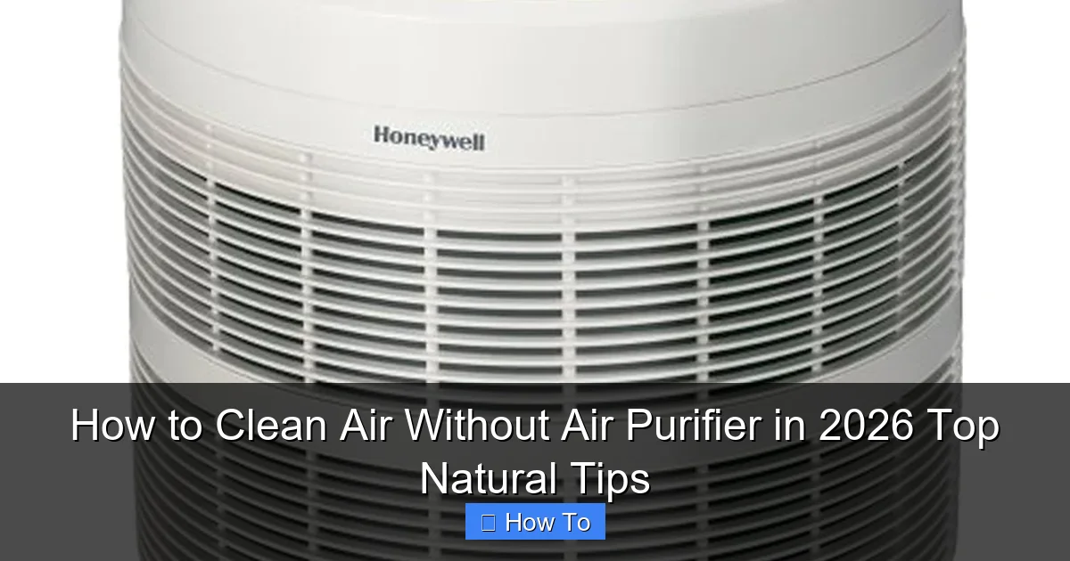 How to Clean Air Without Air Purifier in 2026 Top Natural Tips
