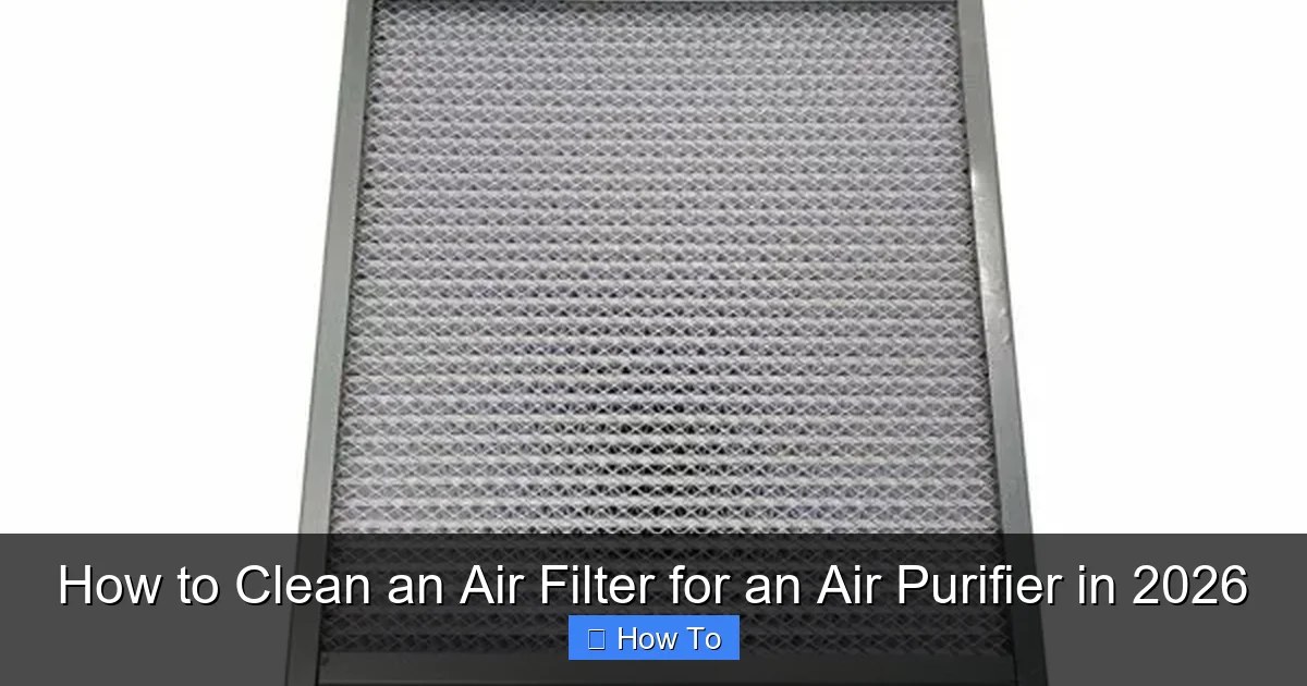 How to Clean an Air Filter for an Air Purifier in 2026