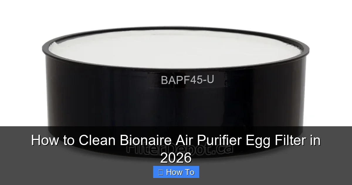 How to Clean Bionaire Air Purifier Egg Filter in 2026