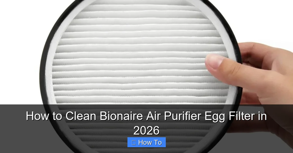 How to Clean Bionaire Air Purifier Egg Filter in 2026