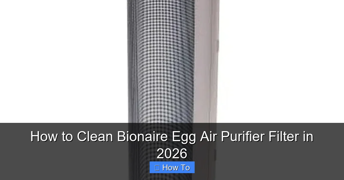 How to Clean Bionaire Egg Air Purifier Filter in 2026