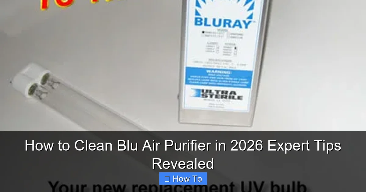 How to Clean Blu Air Purifier in 2026 Expert Tips Revealed