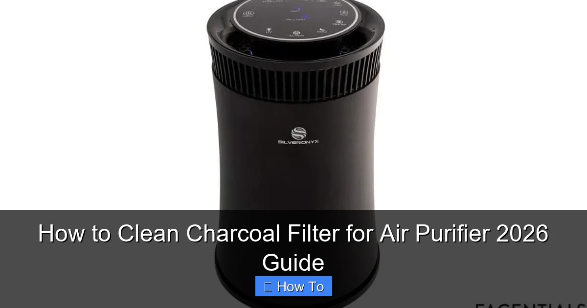 How to Clean Charcoal Filter for Air Purifier 2026 Guide