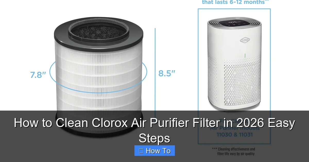 How to Clean Clorox Air Purifier Filter in 2026 Easy Steps