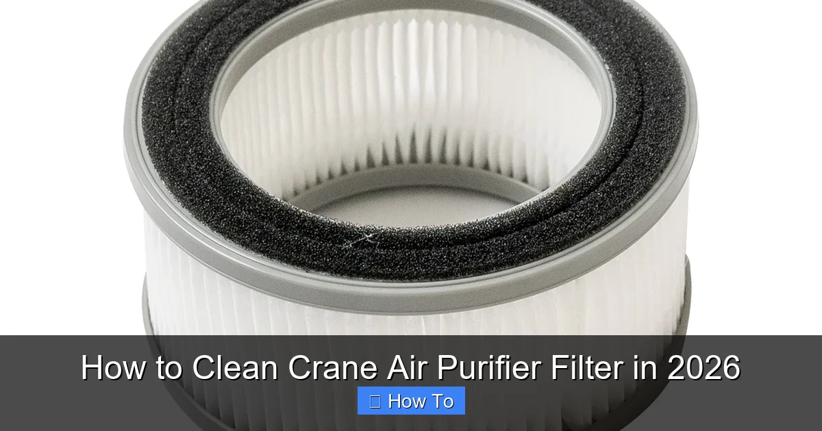 How to Clean Crane Air Purifier Filter in 2026