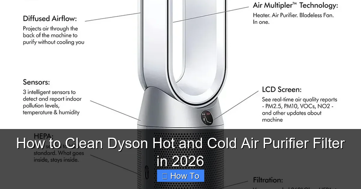 How to Clean Dyson Hot and Cold Air Purifier Filter in 2026
