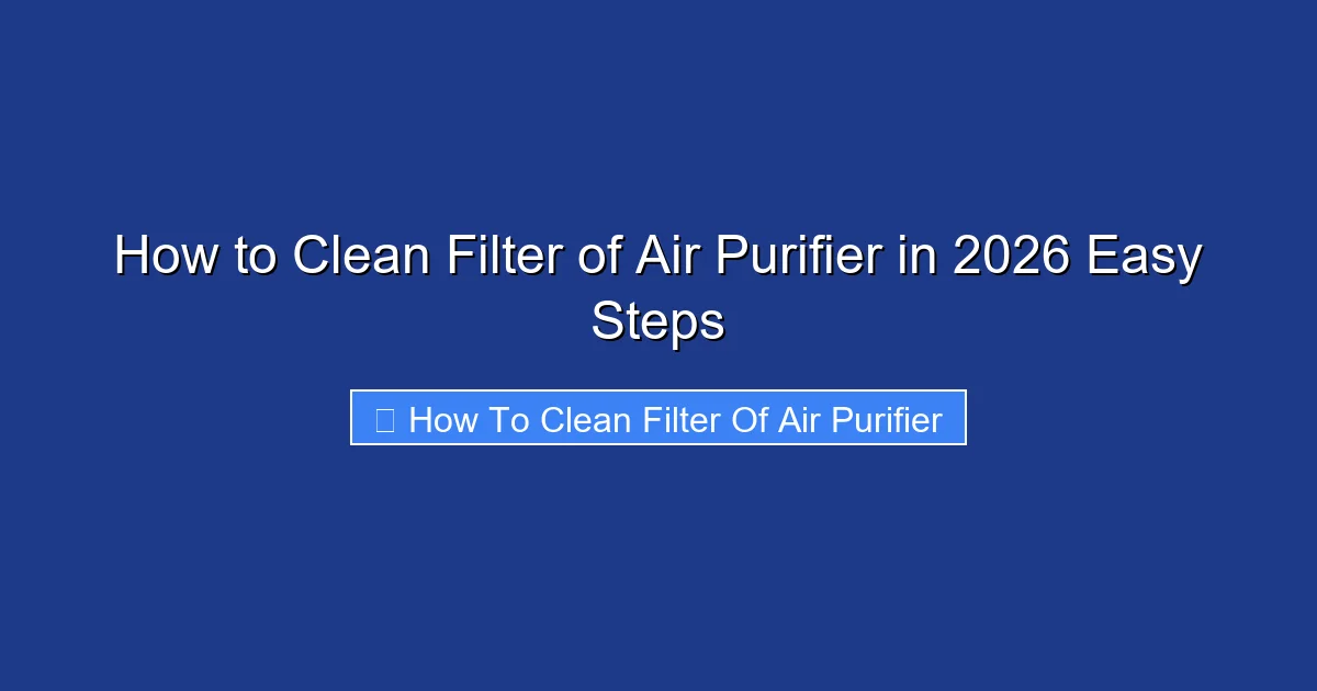 How to Clean Filter of Air Purifier in 2026 Easy Steps