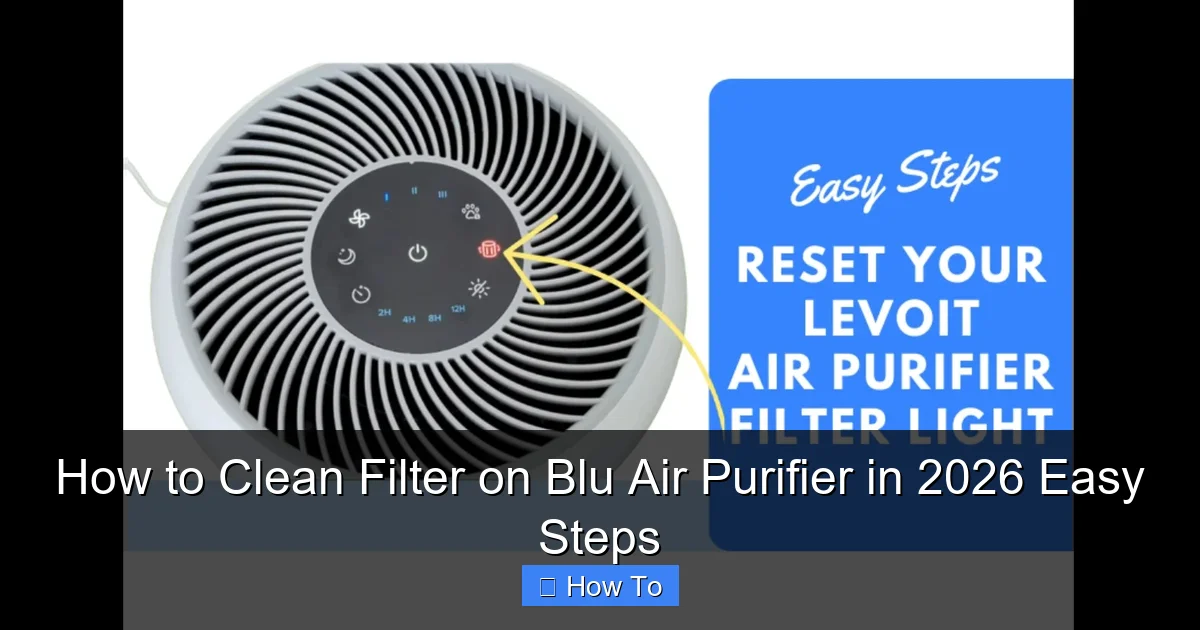How to Clean Filter on Blu Air Purifier in 2026 Easy Steps