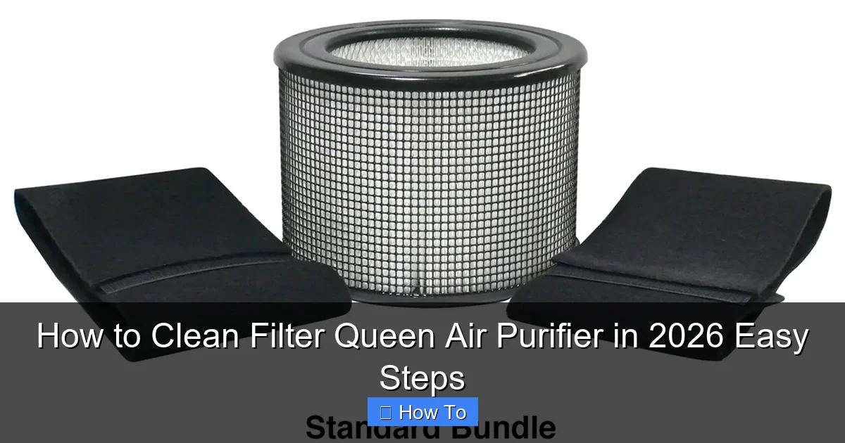 How to Clean Filter Queen Air Purifier in 2026 Easy Steps